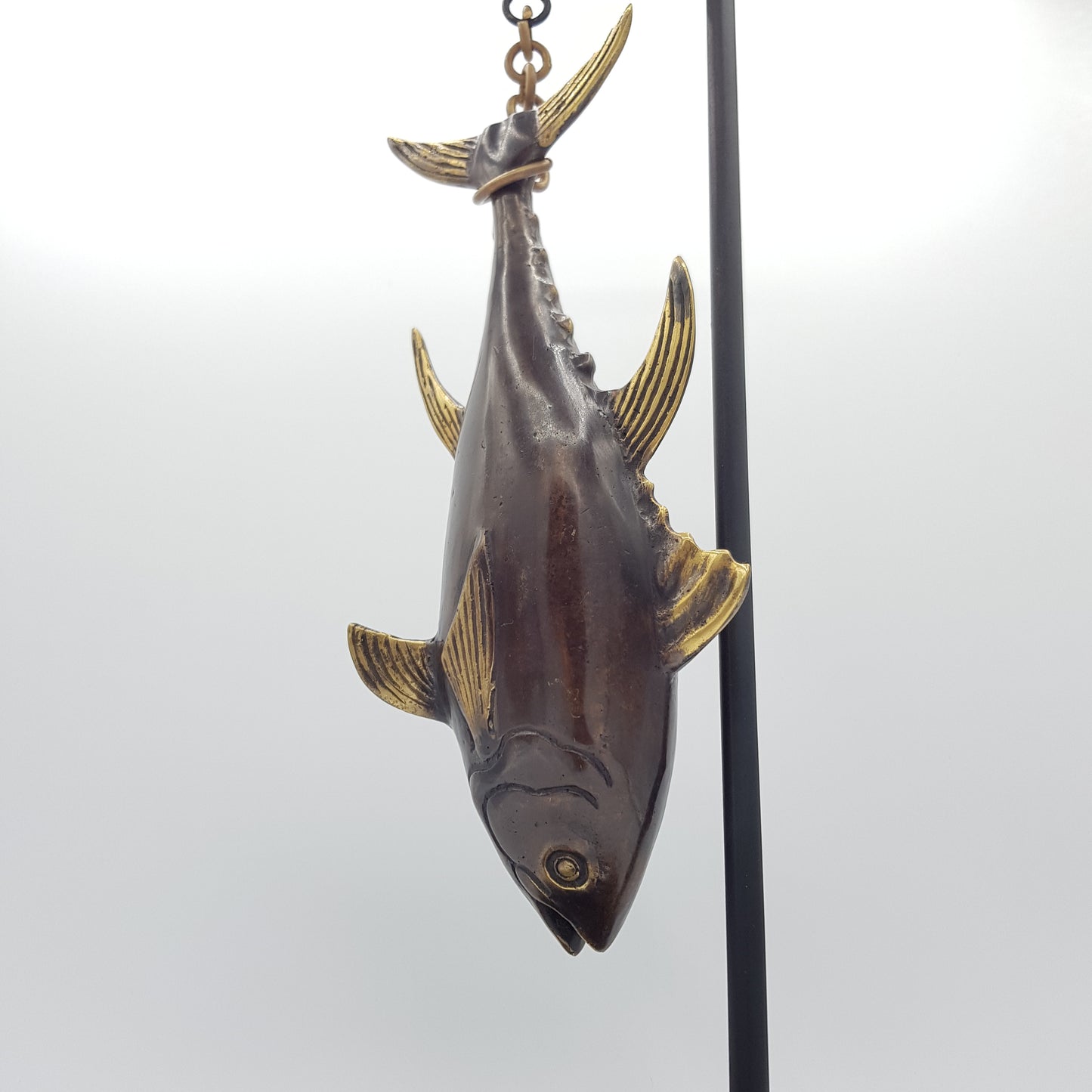 Caught Tuna - Idee D'Arte Positano