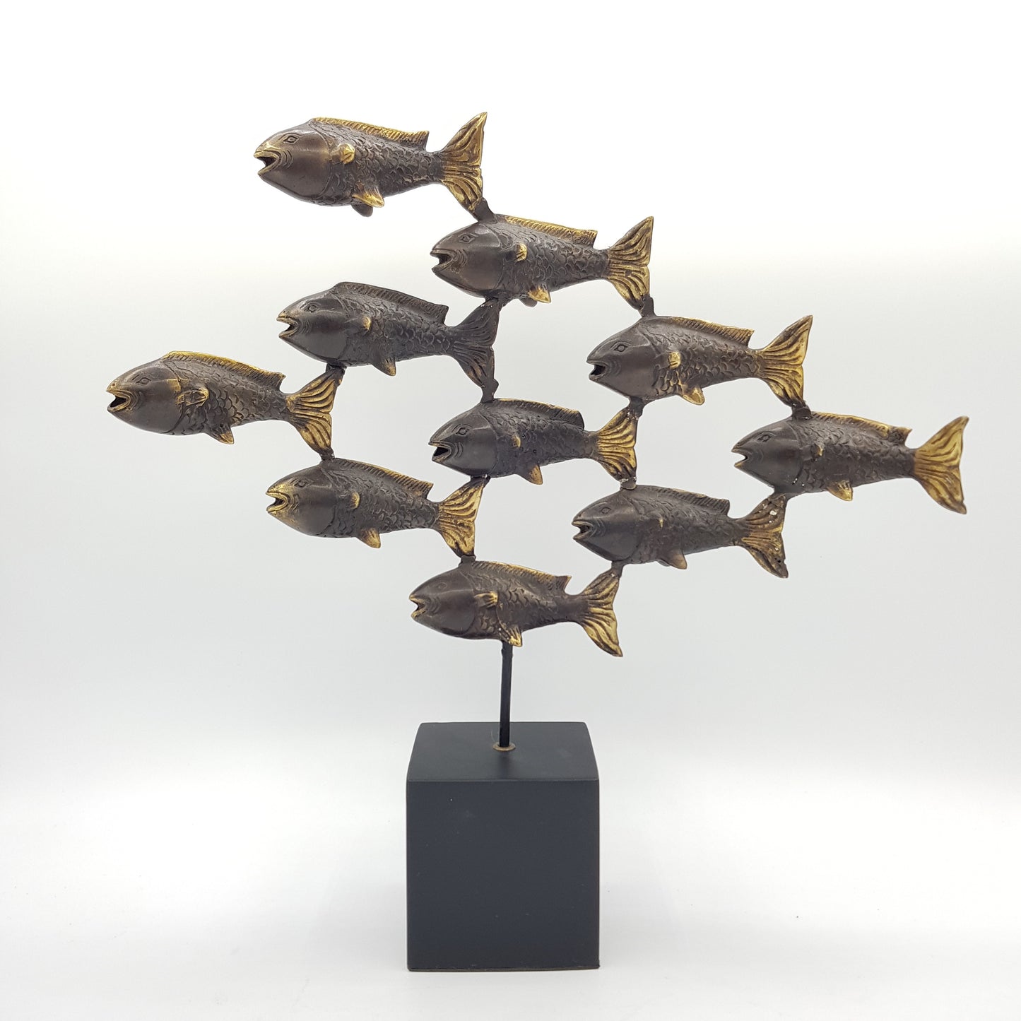 Big group of fishes - Idee D'Arte Positano