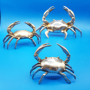 Silver Crab Family