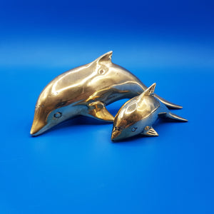 Bronze Dolphin