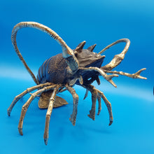 Load image into Gallery viewer, Mediterranean Lobster
