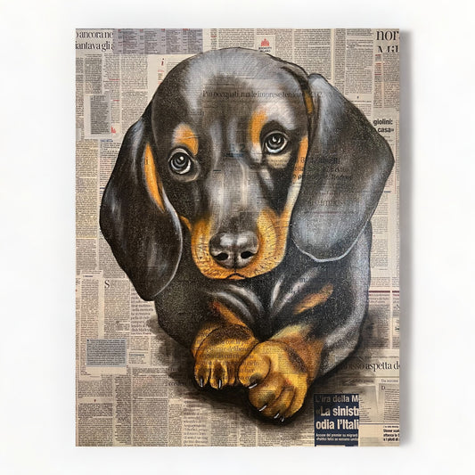 Basset puppy on canvas - Idee D'Arte Positano