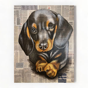 Basset puppy on canvas
