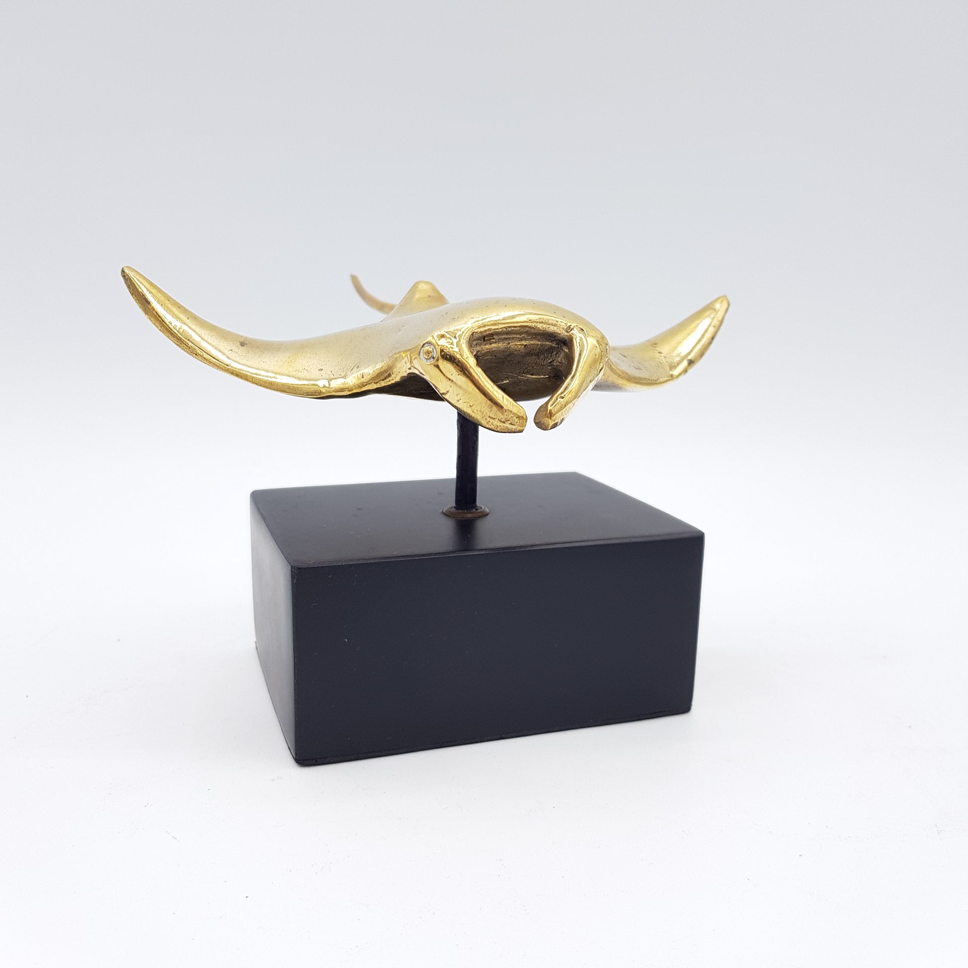 Manta Ray - Idee D'Arte Positano