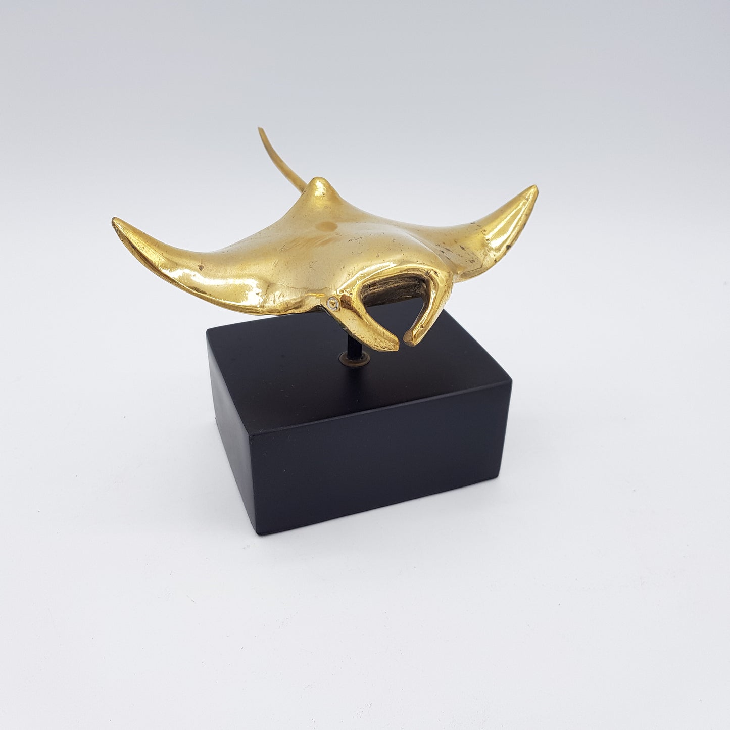 Manta Ray - Idee D'Arte Positano
