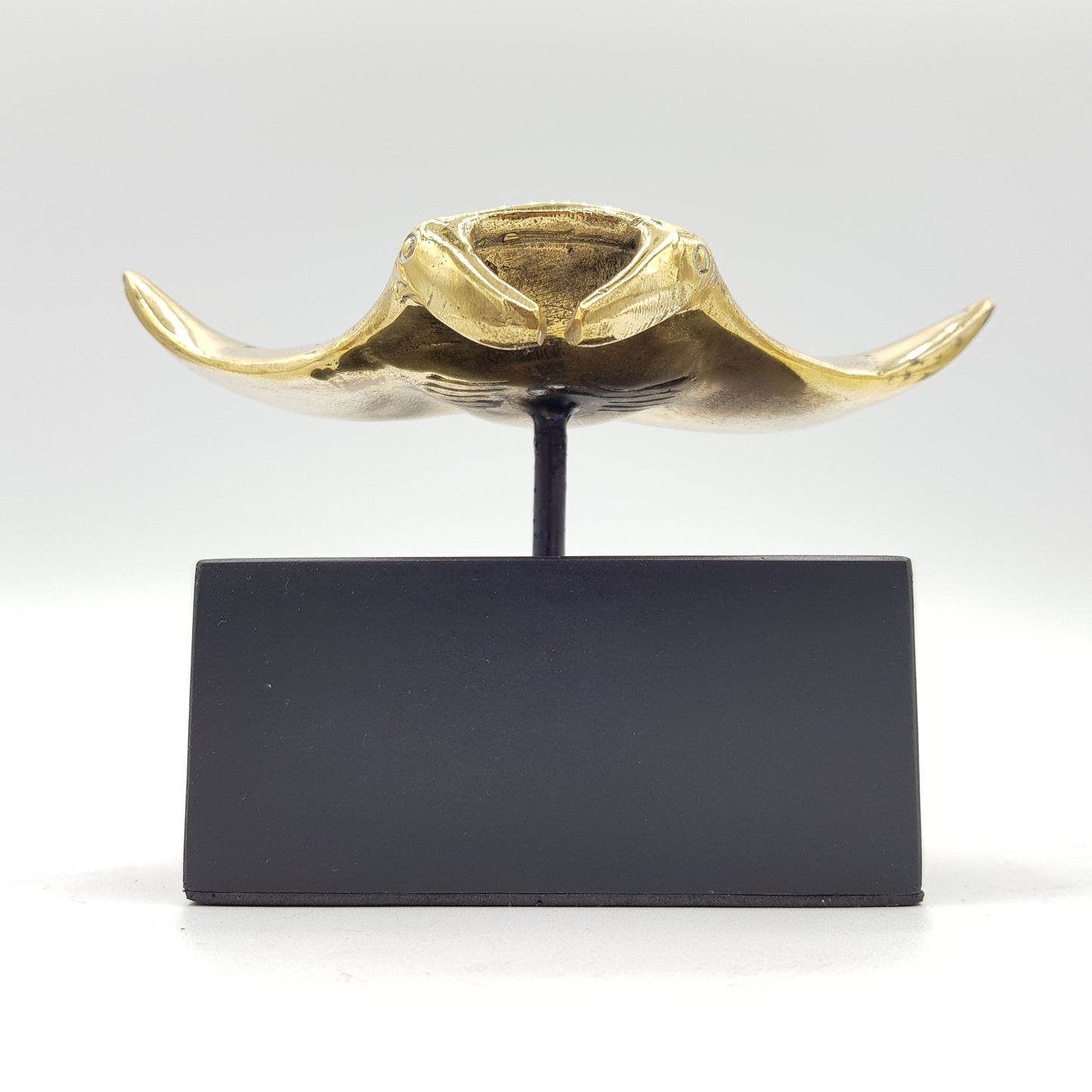 Manta Ray - Idee D'Arte Positano