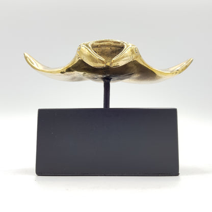 Manta Ray - Idee D'Arte Positano