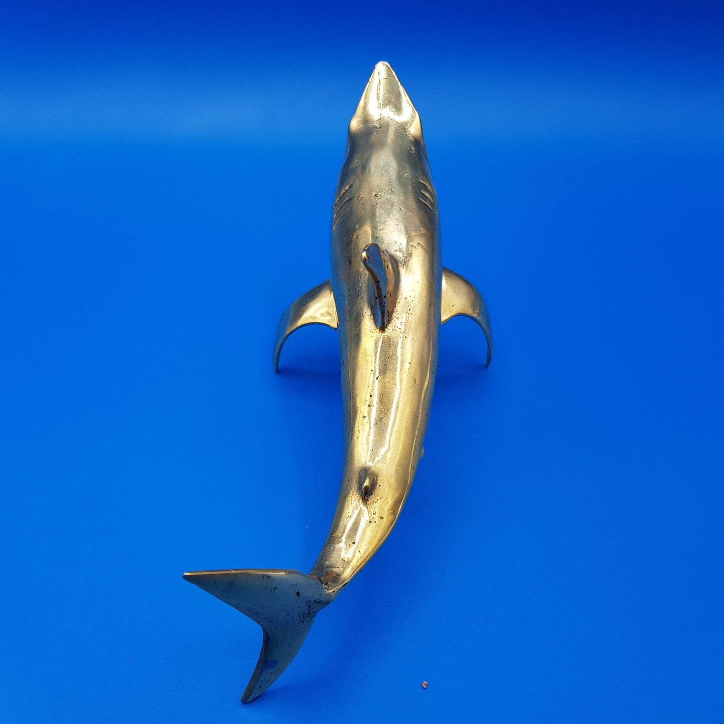 Shark Attack - Idee D'Arte Positano