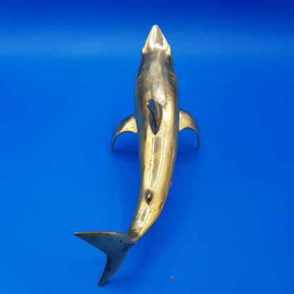 Shark Attack - Idee D'Arte Positano