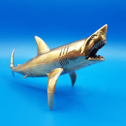Shark Attack - Idee D'Arte Positano