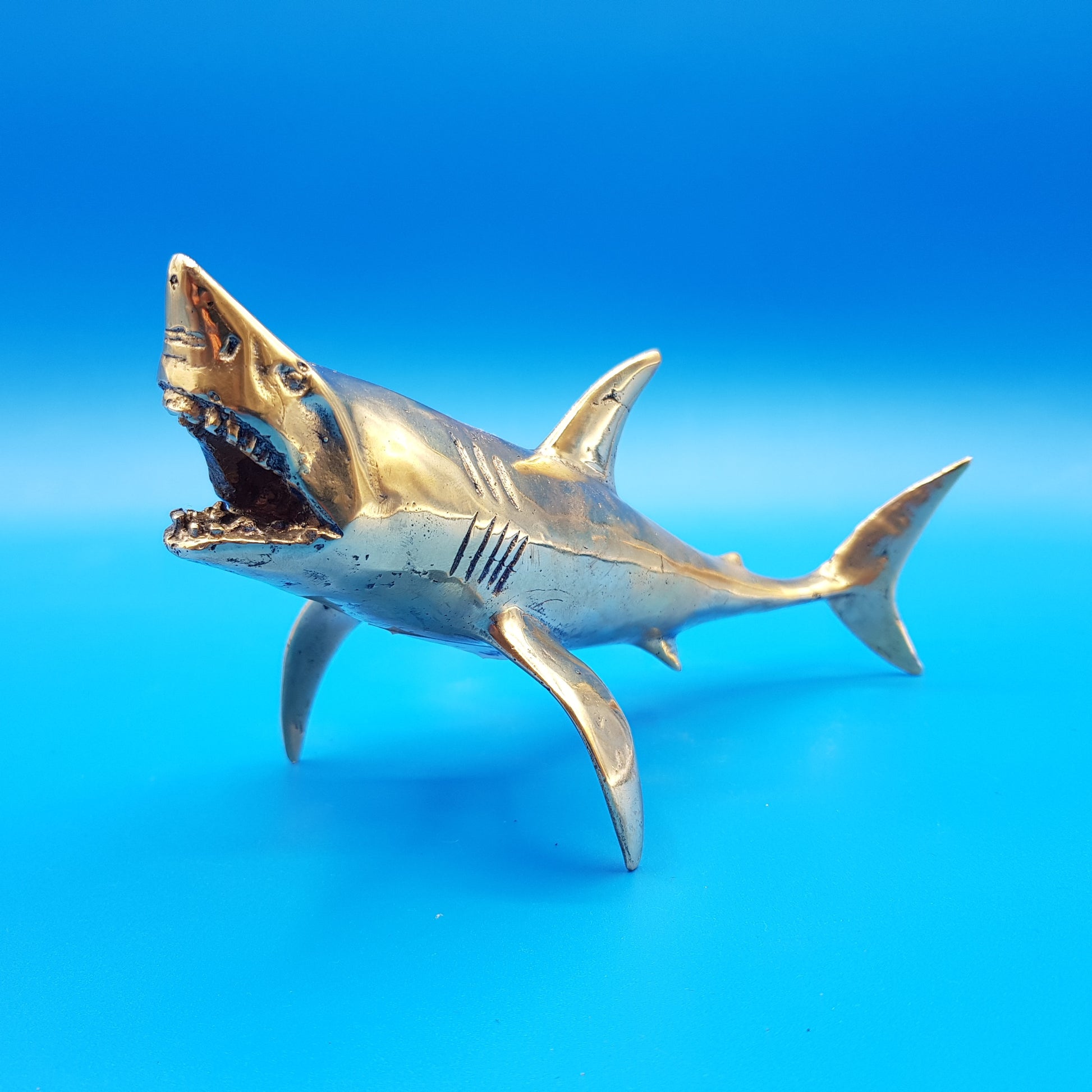 Shark Attack - Idee D'Arte Positano
