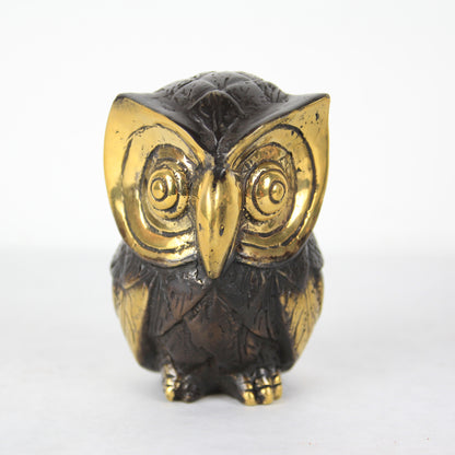 Big eye owl
