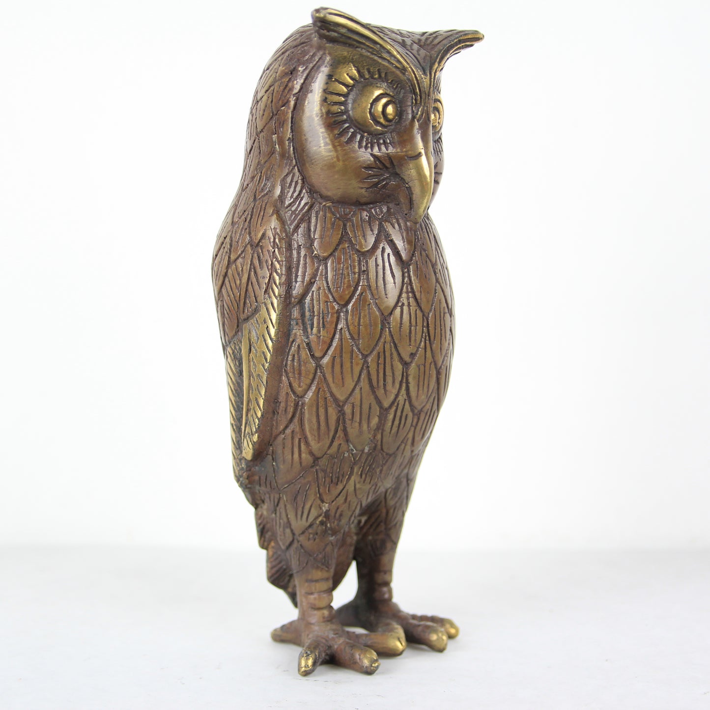 Gufi fortunati