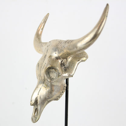 Teschio di Toro