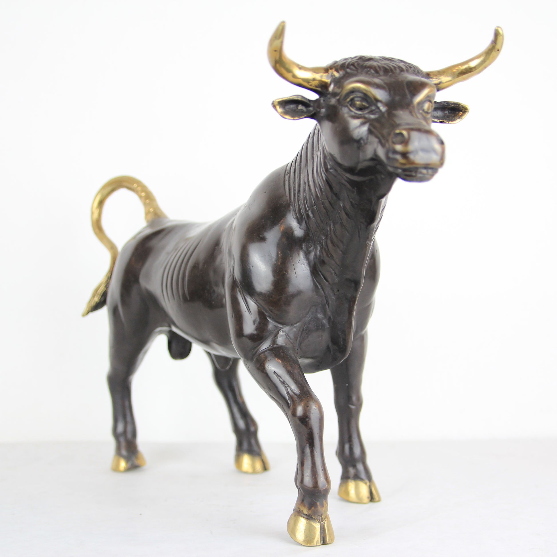 Spanish Bull - Idee D'Arte Positano