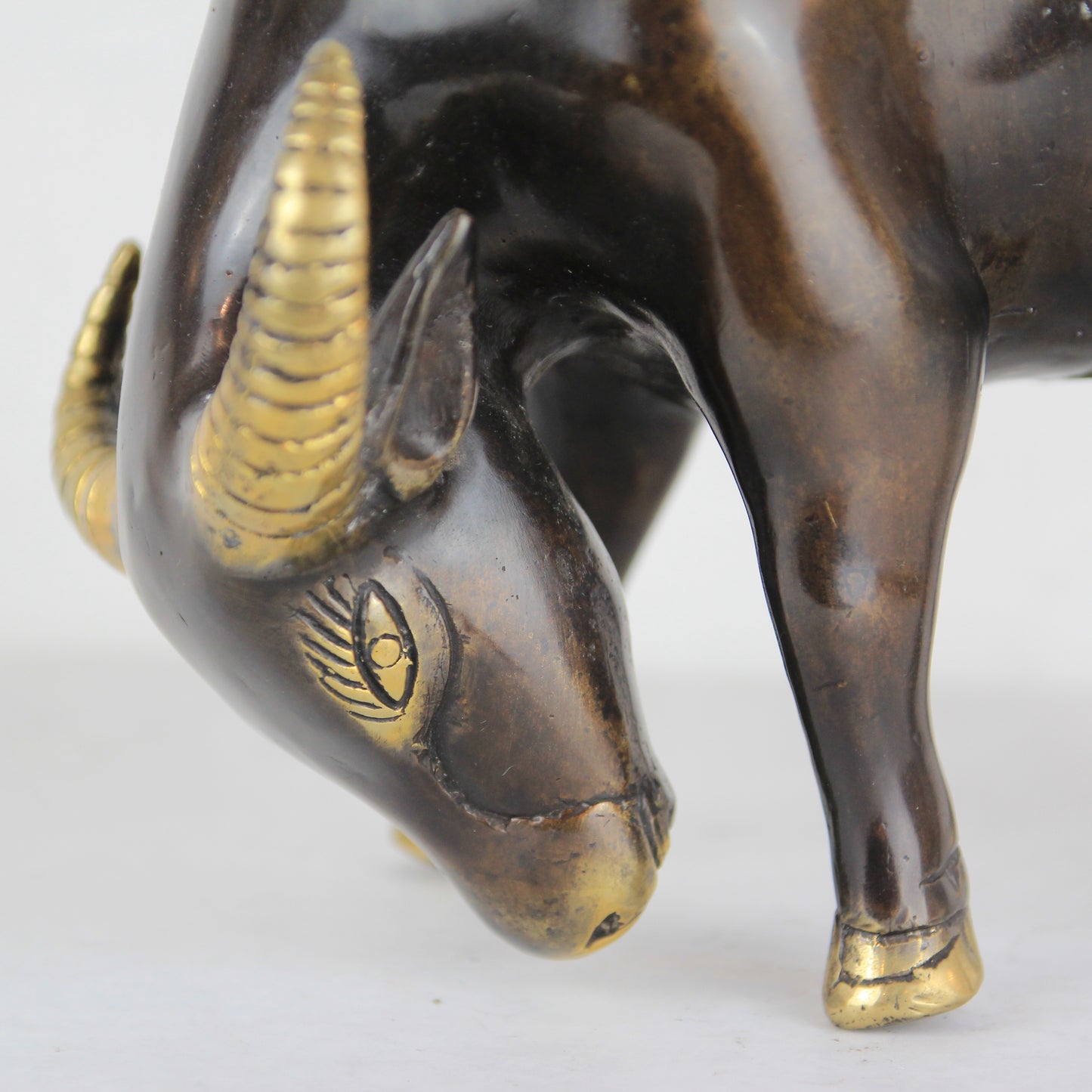 Water Buffalo - Idee D'Arte Positano