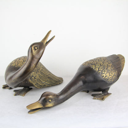Duck cupple - Idee D'Arte Positano