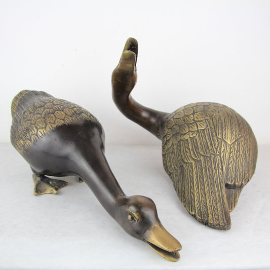 Duck cupple - Idee D'Arte Positano
