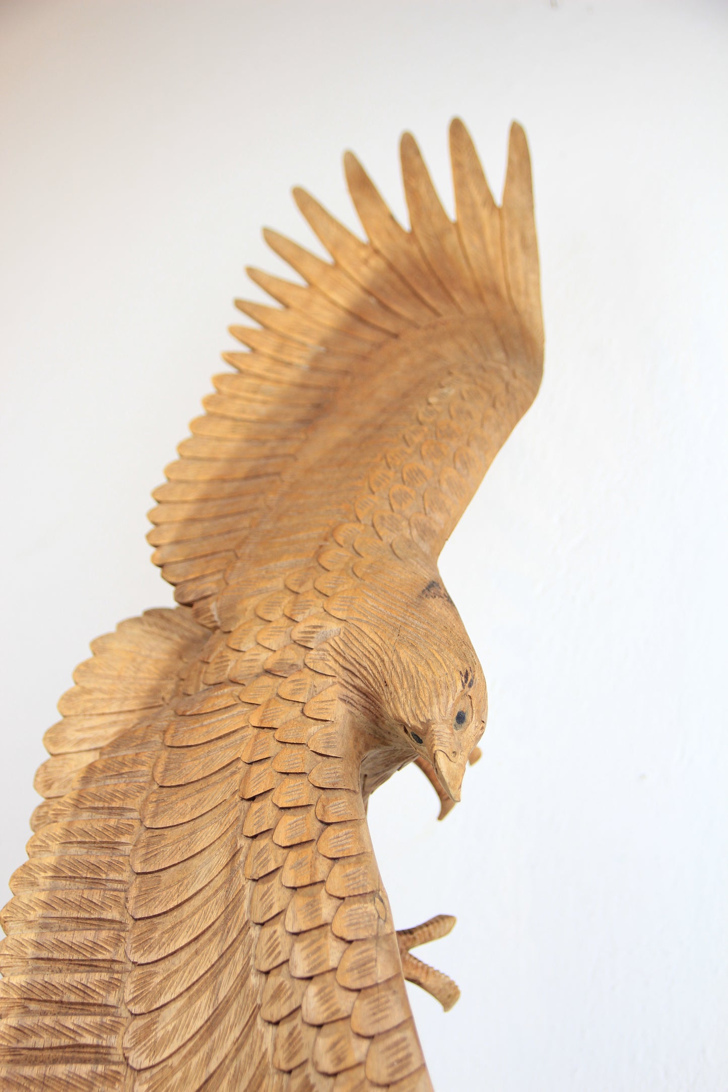 Flying Eagel - Idee D'Arte Positano