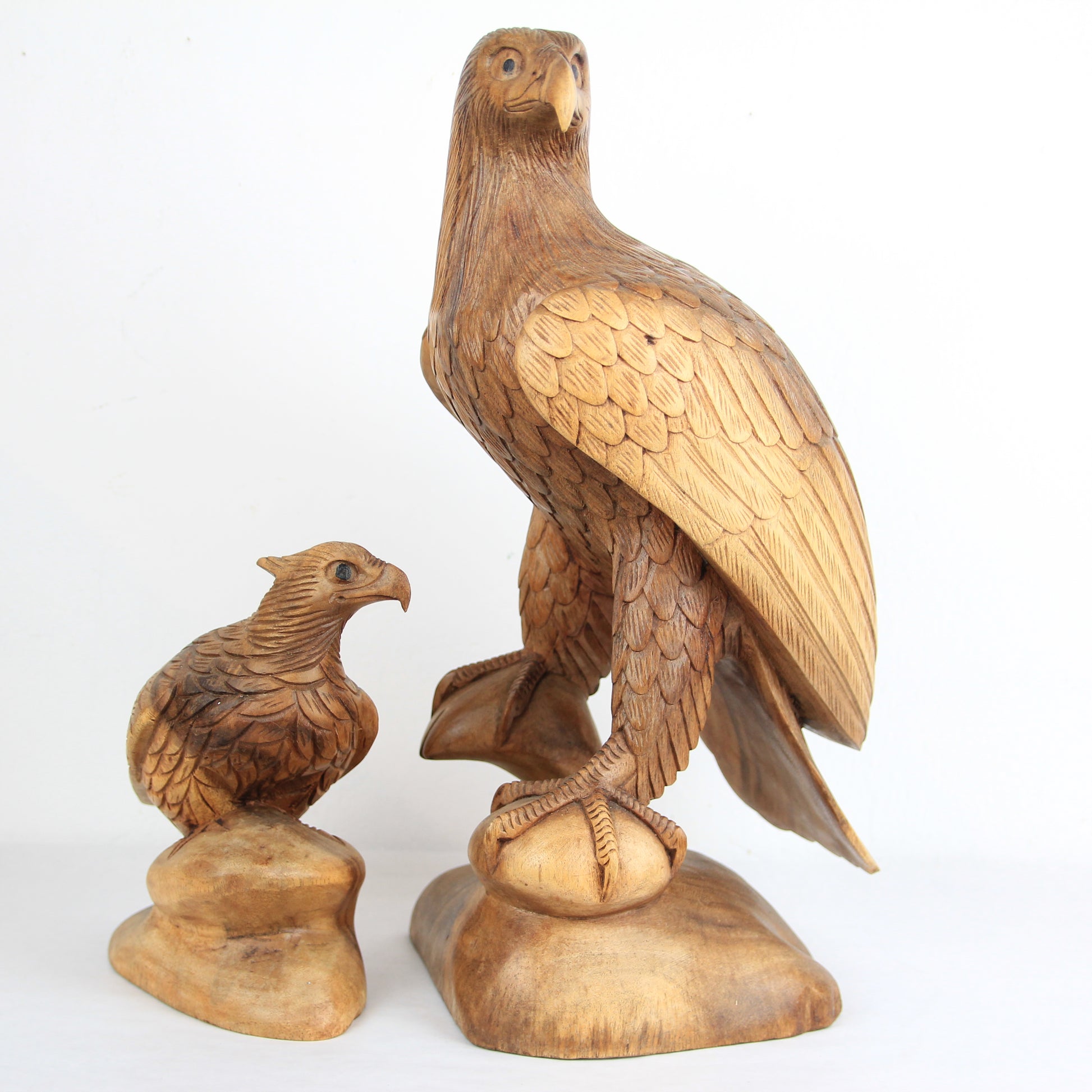 Eagle family - Idee D'Arte Positano