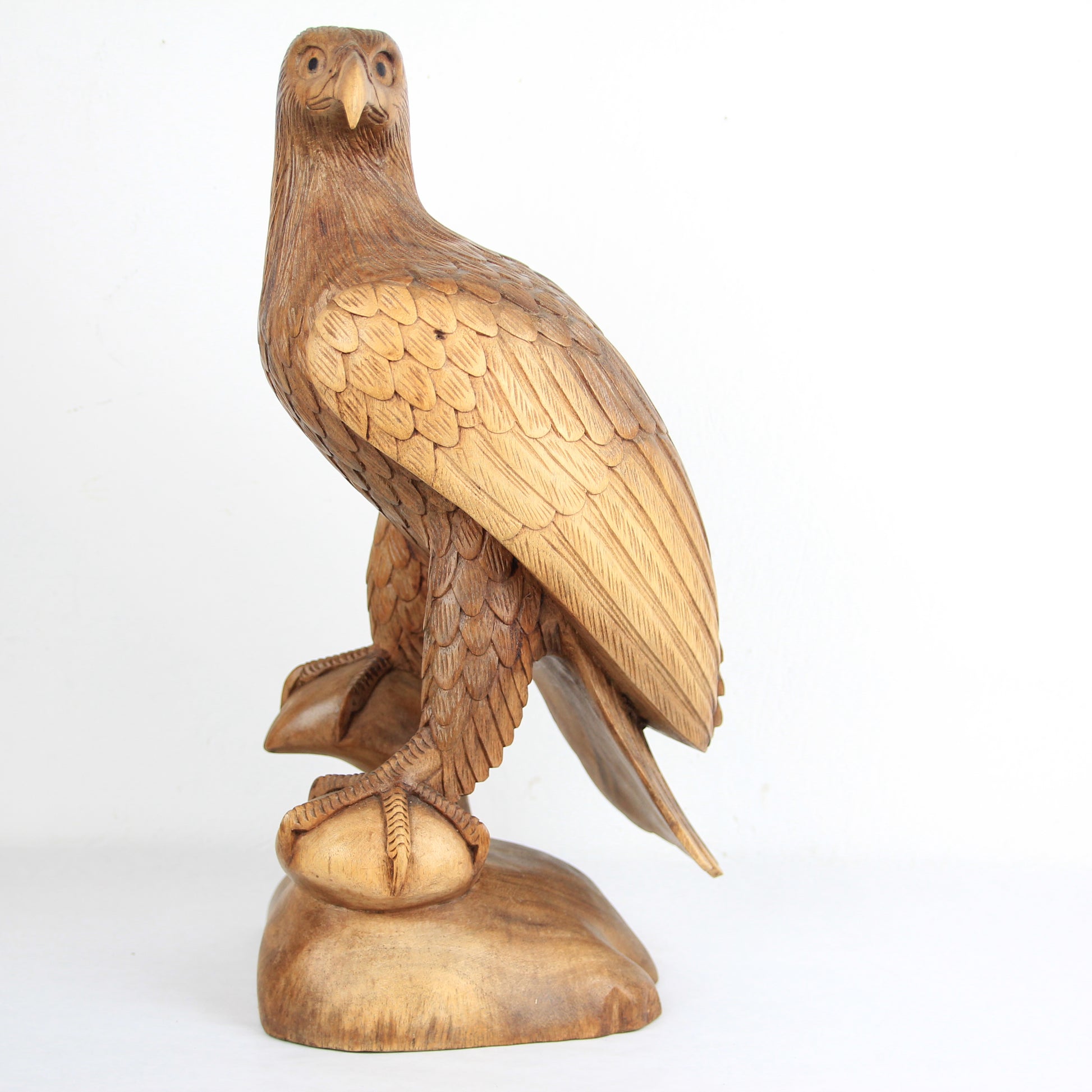 Eagle family - Idee D'Arte Positano
