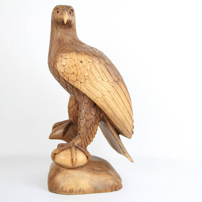 Eagle family - Idee D'Arte Positano