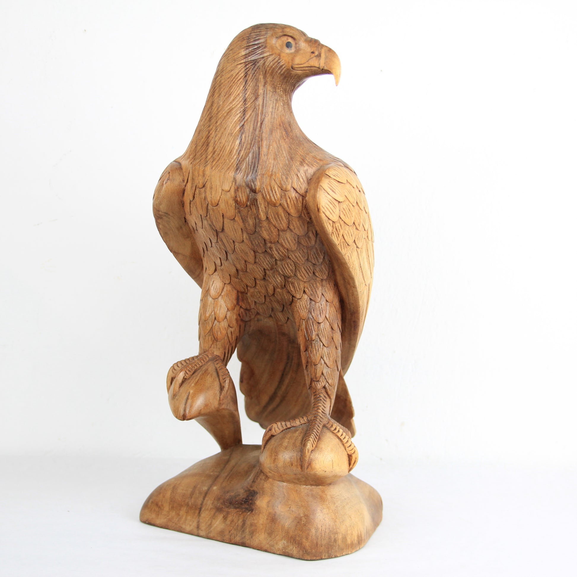 Eagle family - Idee D'Arte Positano