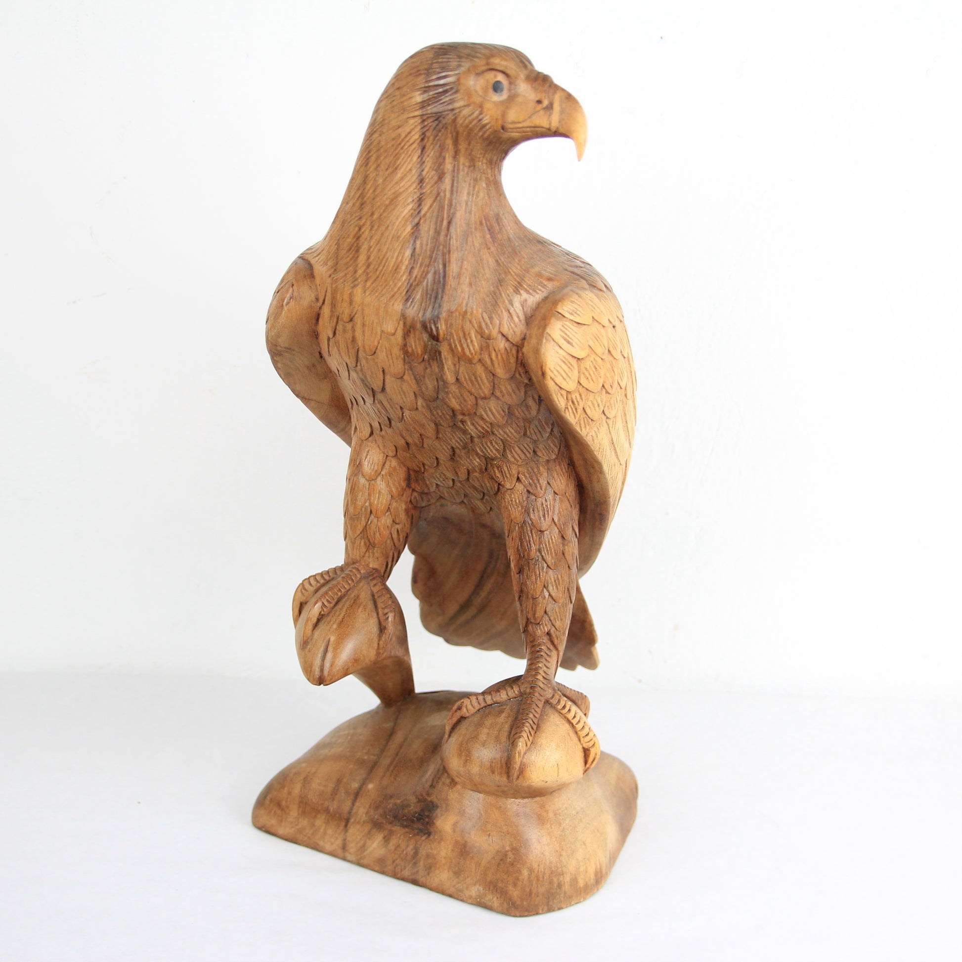 Eagle family - Idee D'Arte Positano