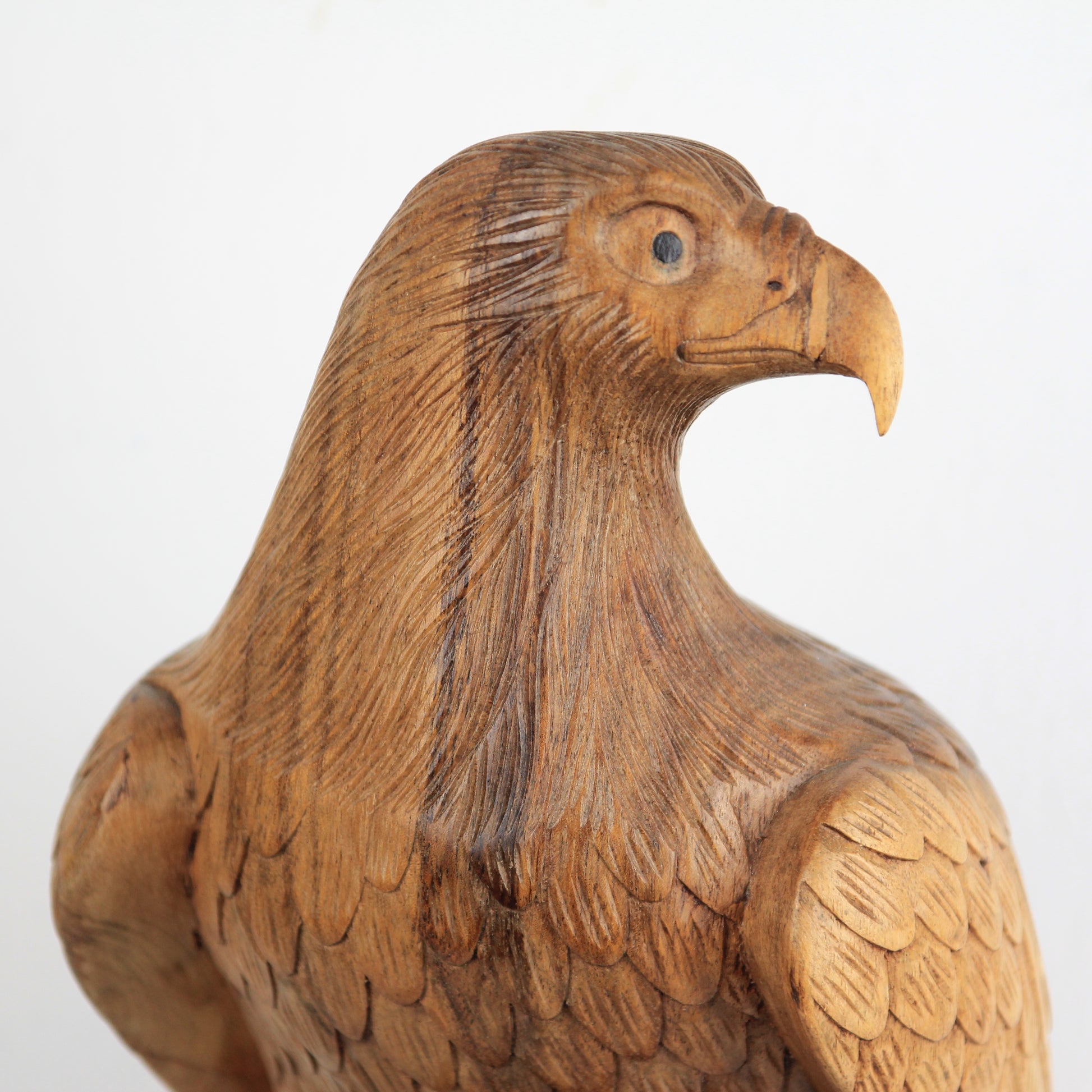 Eagle family - Idee D'Arte Positano