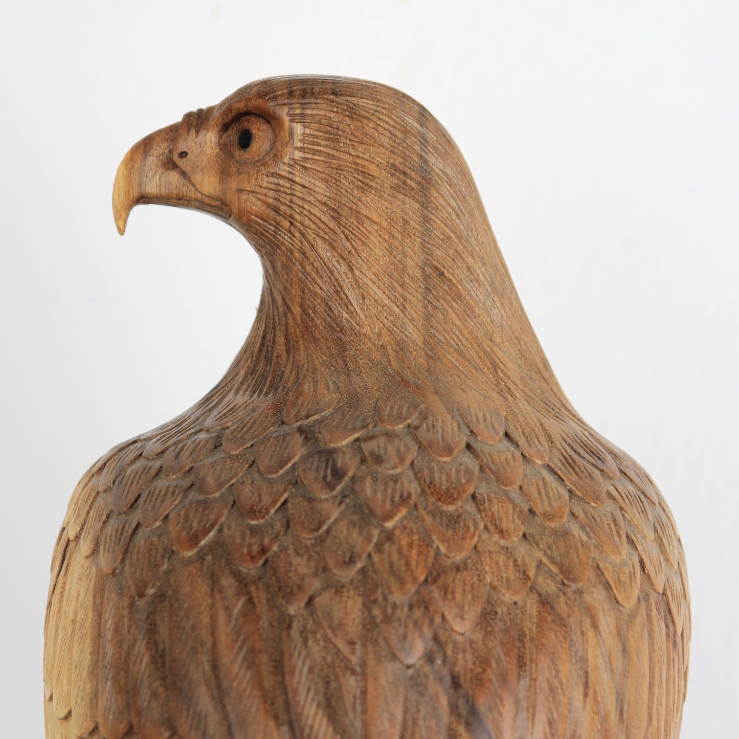 Eagle family - Idee D'Arte Positano