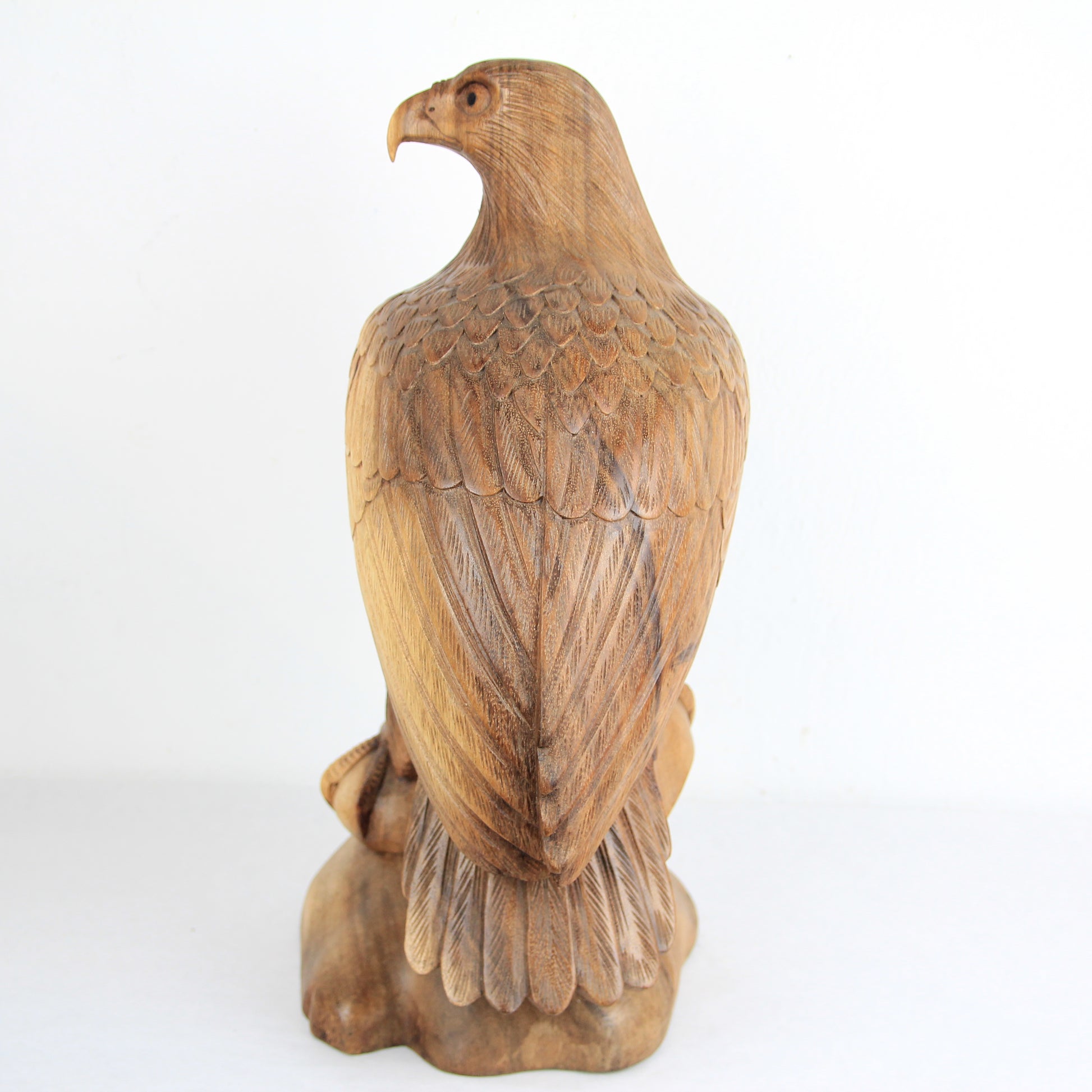 Eagle family - Idee D'Arte Positano