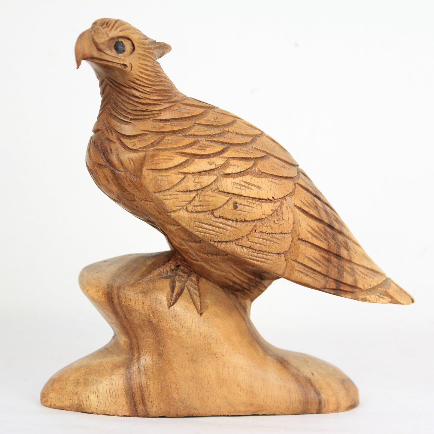 Eagle family - Idee D'Arte Positano