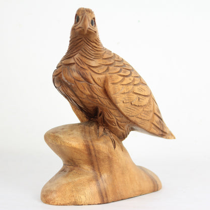 Eagle family - Idee D'Arte Positano