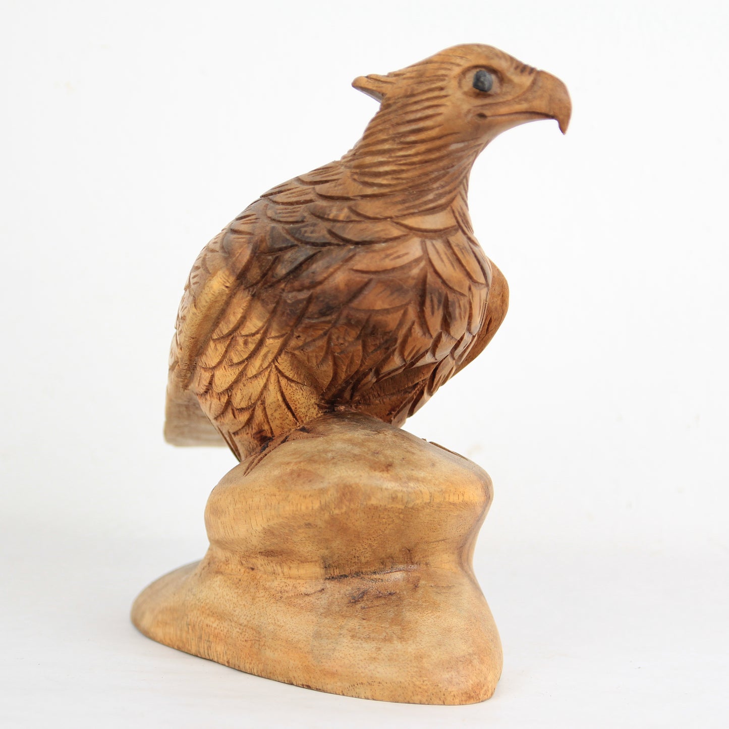 Eagle family - Idee D'Arte Positano