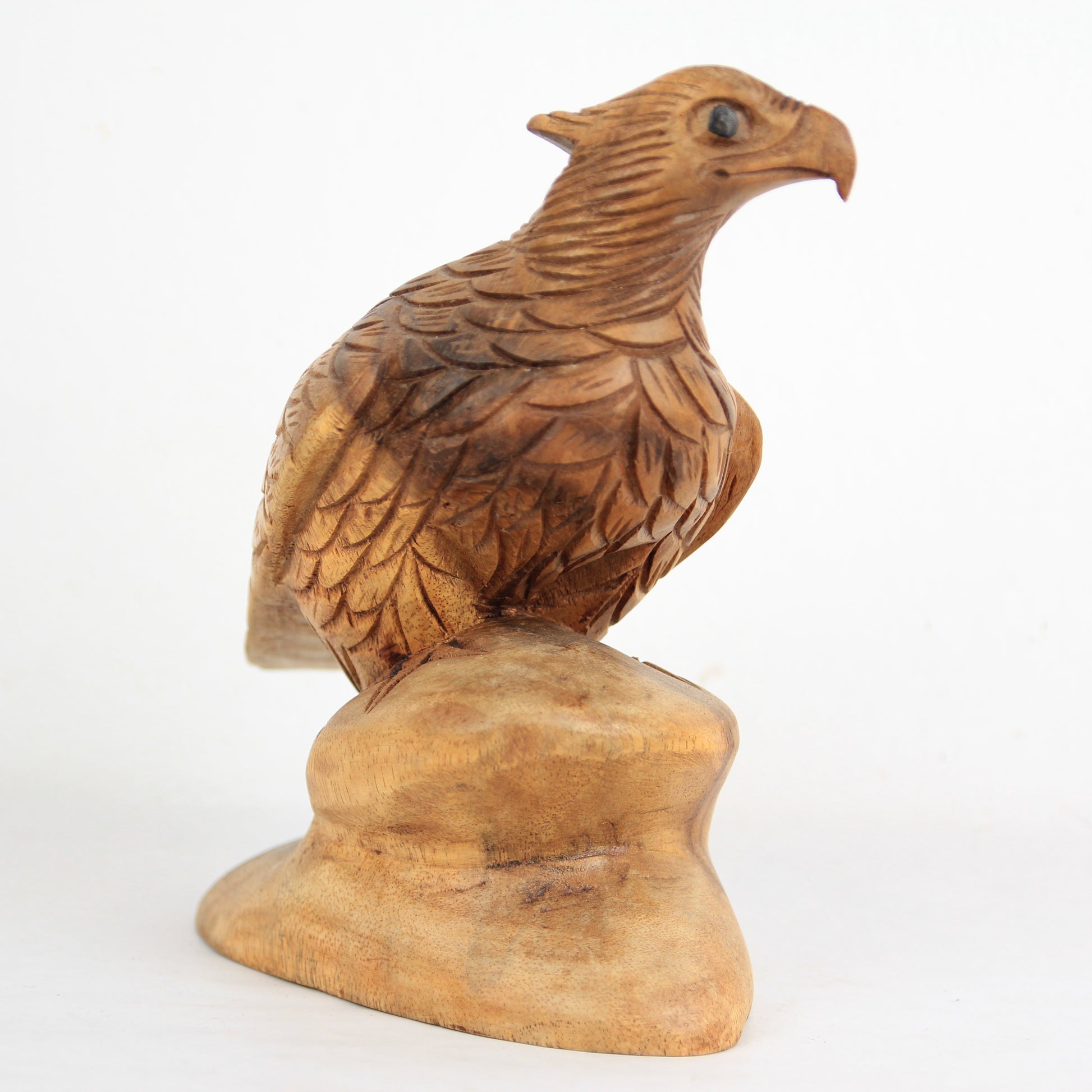 Eagle family - Idee D'Arte Positano