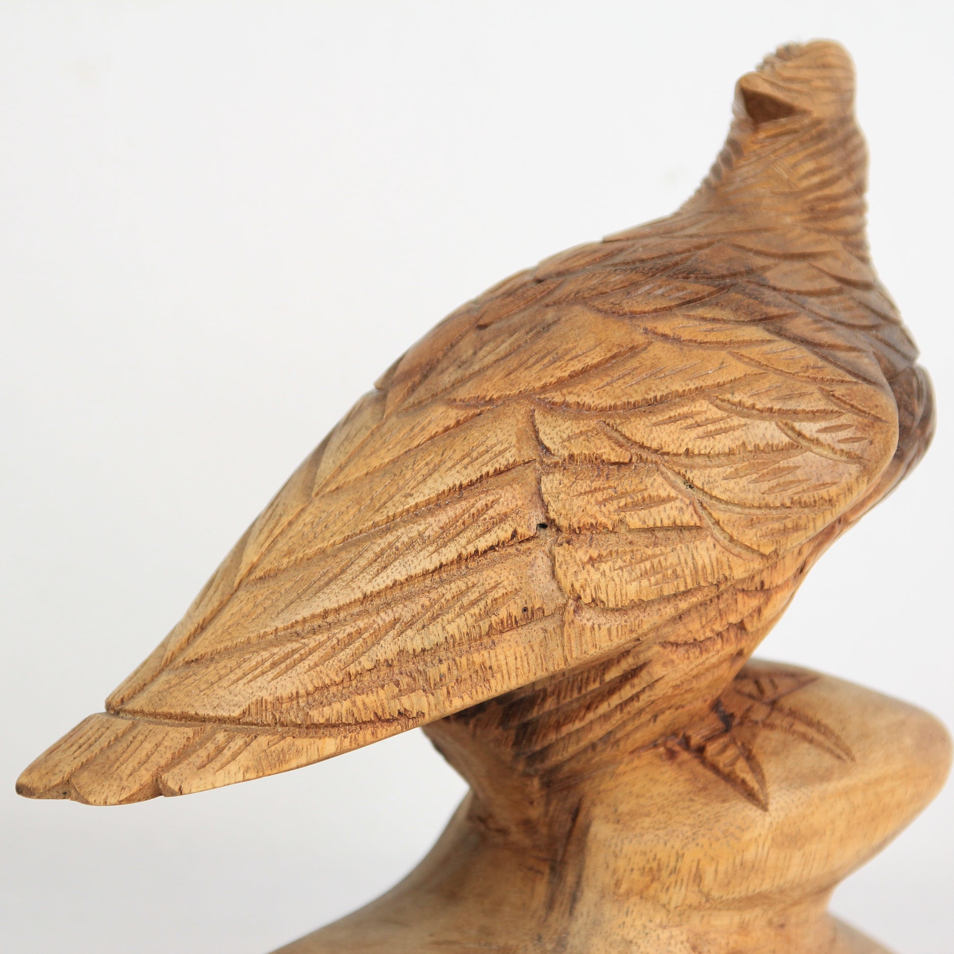 Eagle family - Idee D'Arte Positano