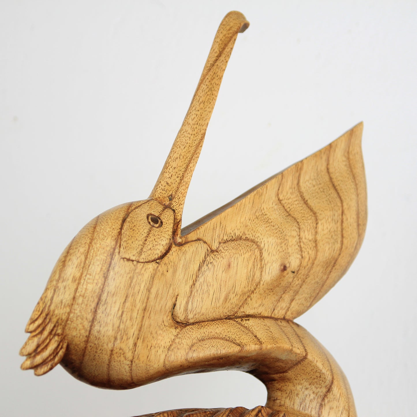 Screaming Pelican - Idee D'Arte Positano