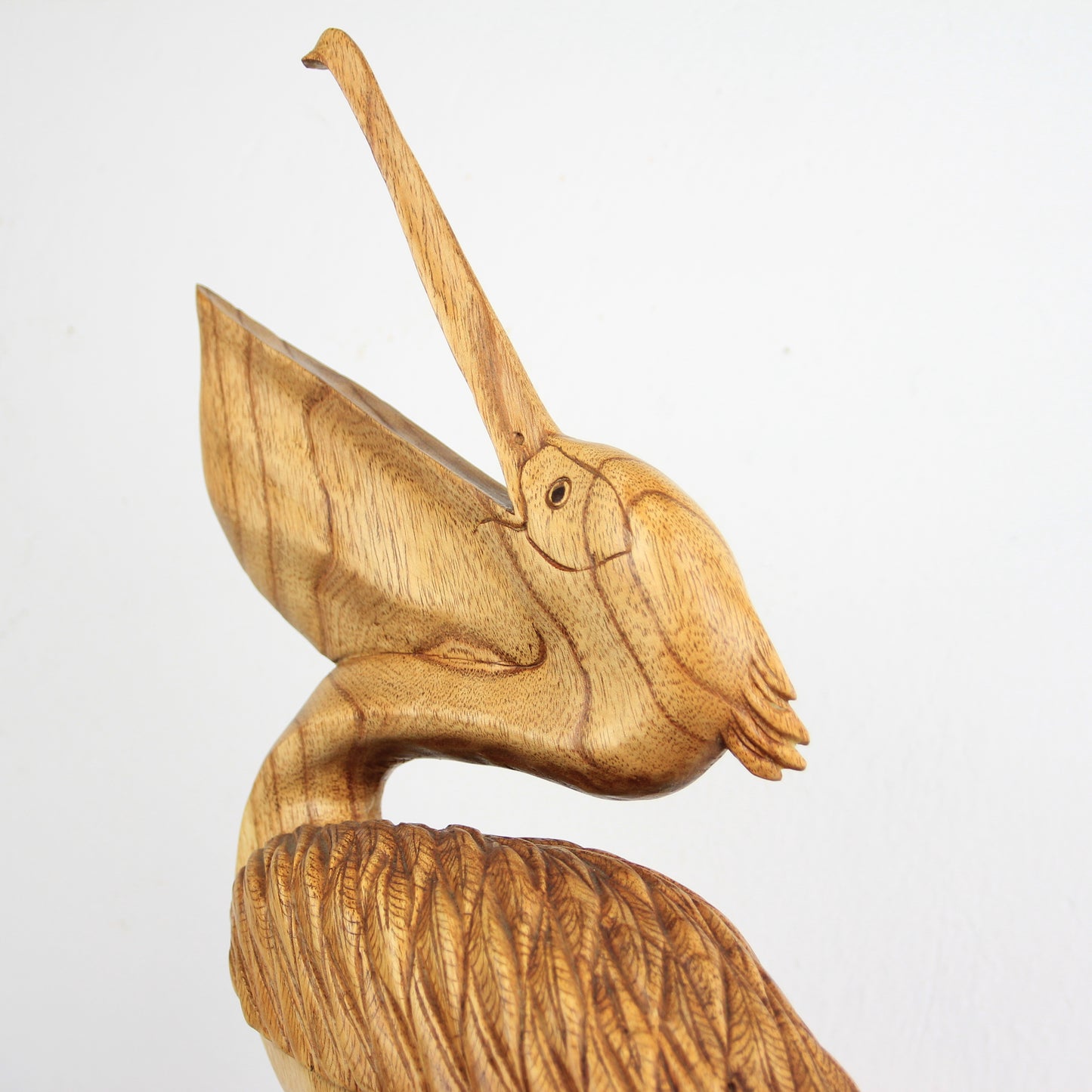Screaming Pelican - Idee D'Arte Positano