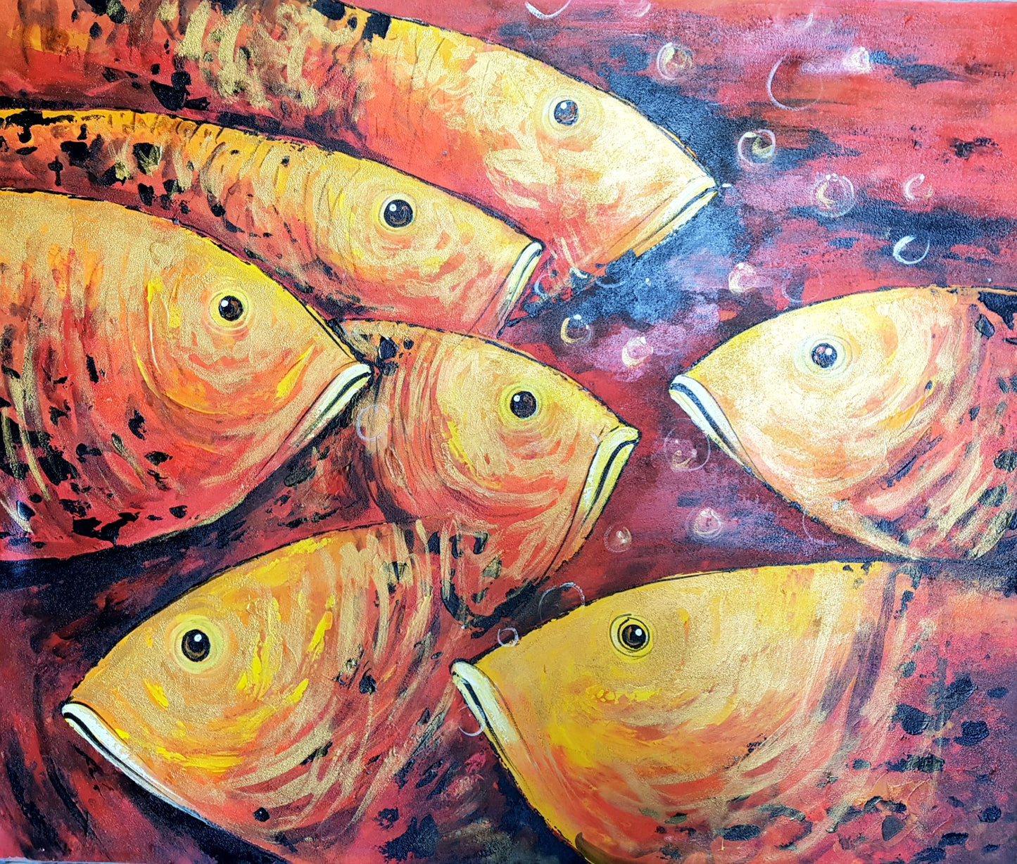 Fish in the Red Sea