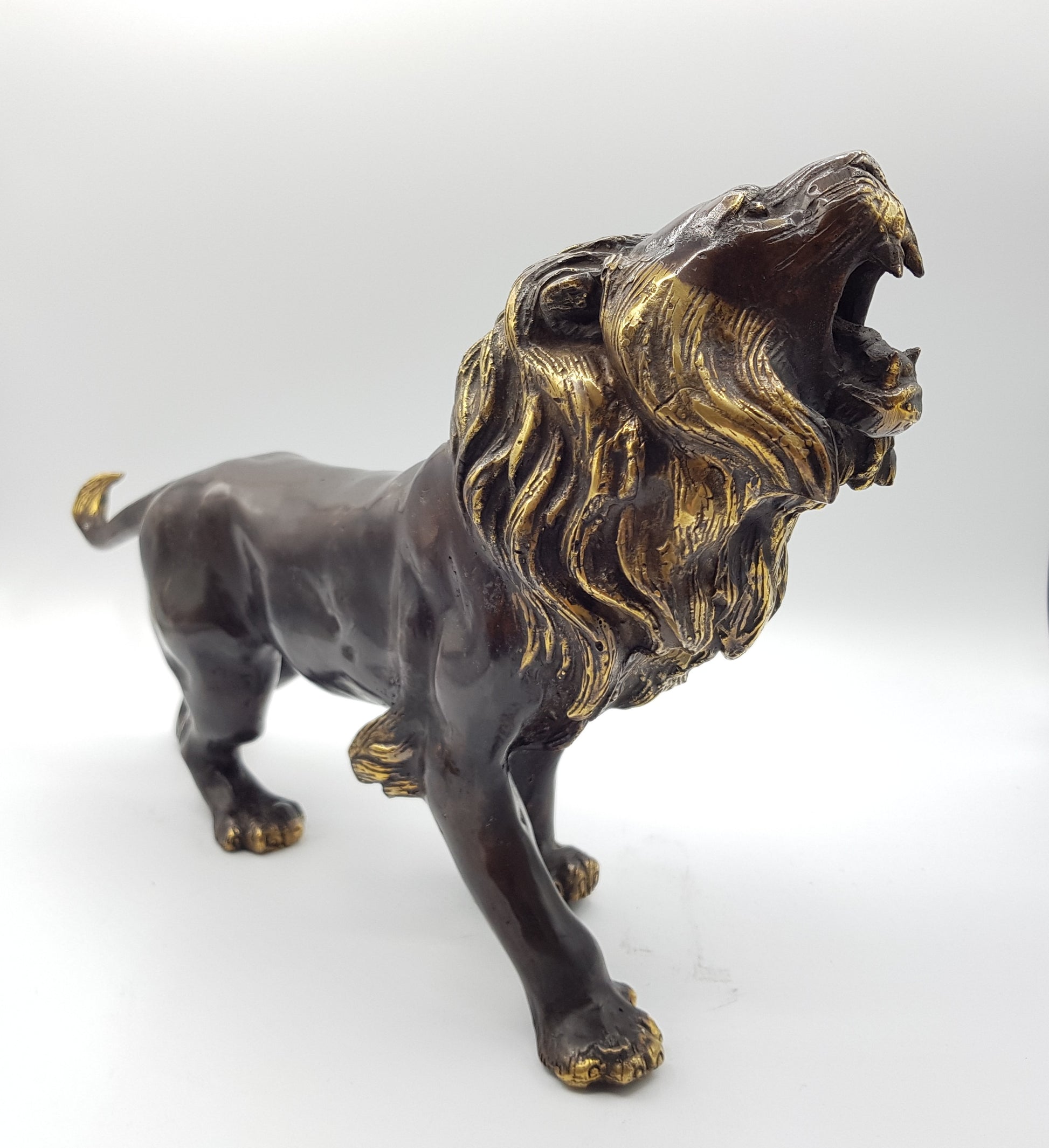 Lion - Idee D'Arte Positano