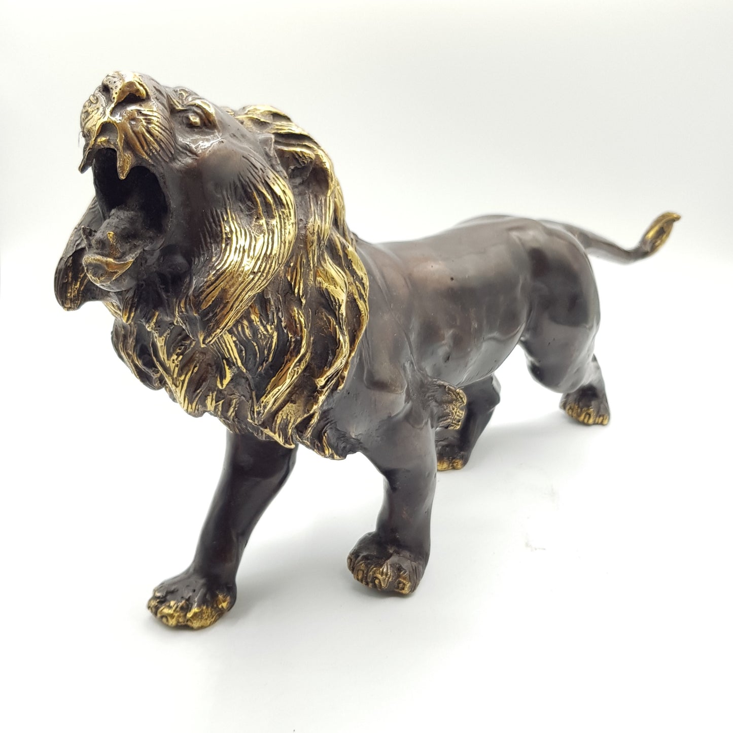 Lion - Idee D'Arte Positano