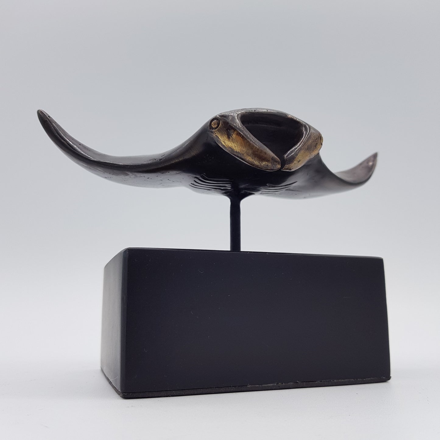 Manta Ray - Idee D'Arte Positano