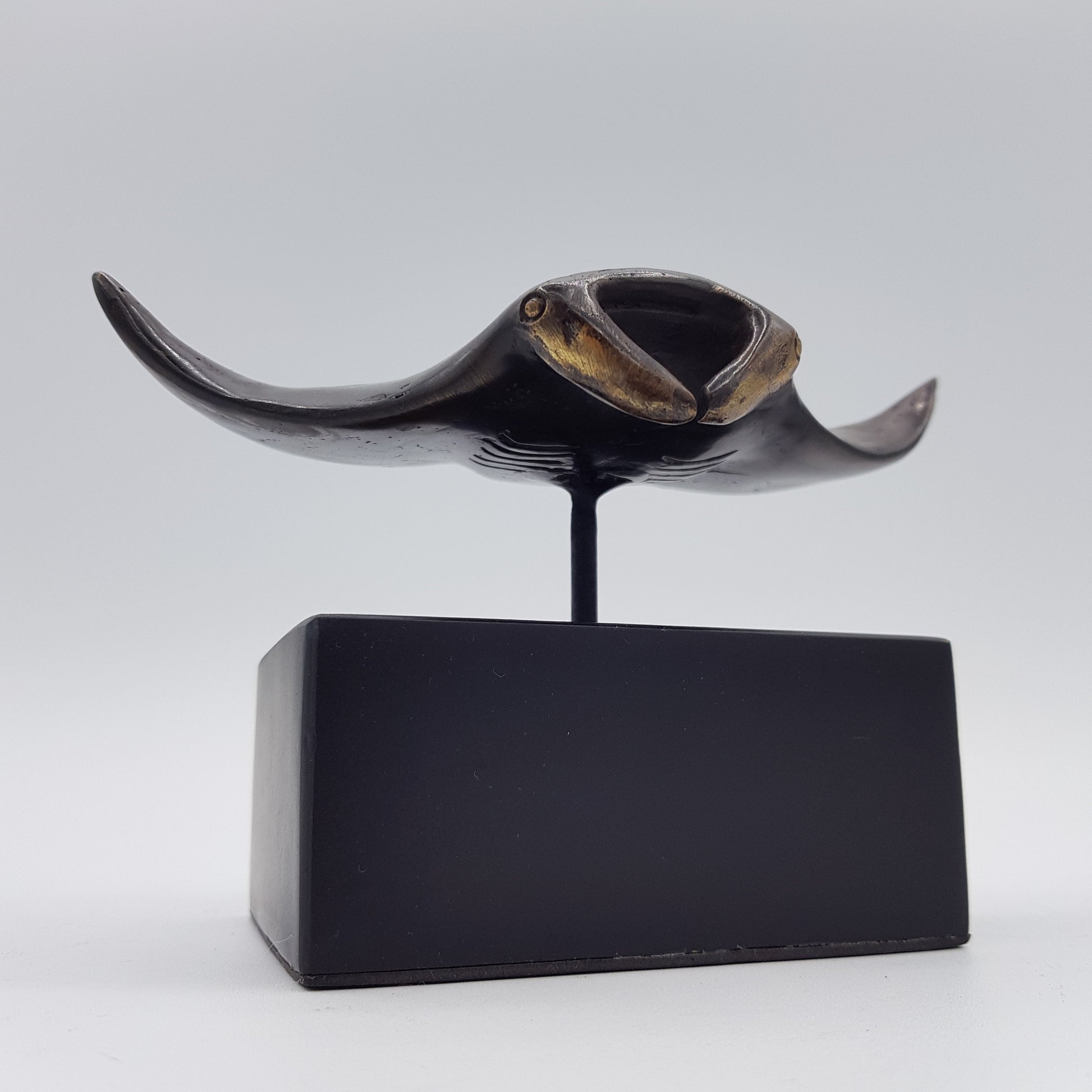 Manta Ray - Idee D'Arte Positano