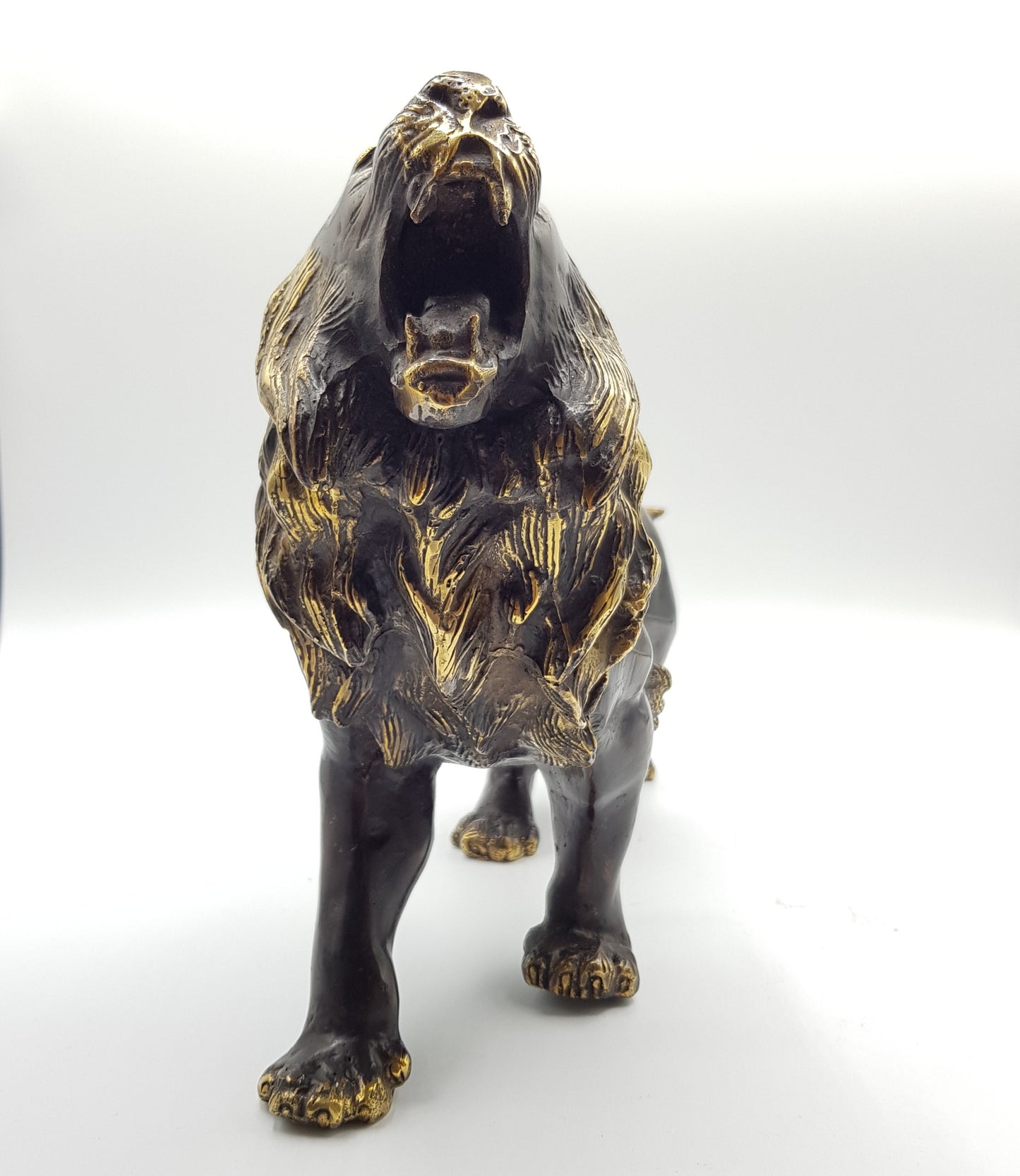 Lion - Idee D'Arte Positano