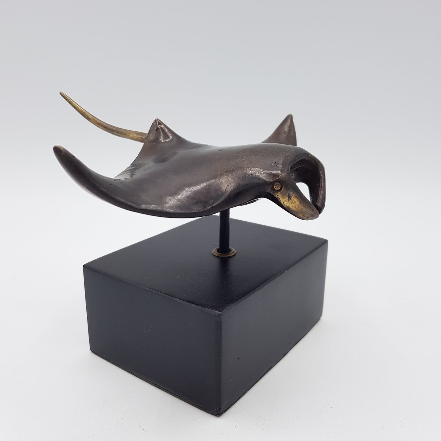 Manta Ray - Idee D'Arte Positano