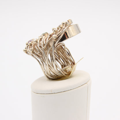 Anello unico