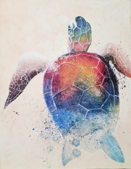 Colored Turtle - Idee D'Arte Positano