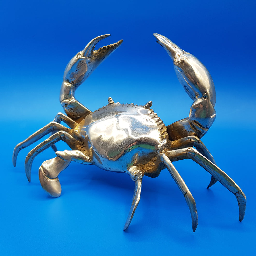 Silver Crab Family