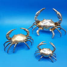 Load image into Gallery viewer, Silver Crab Family
