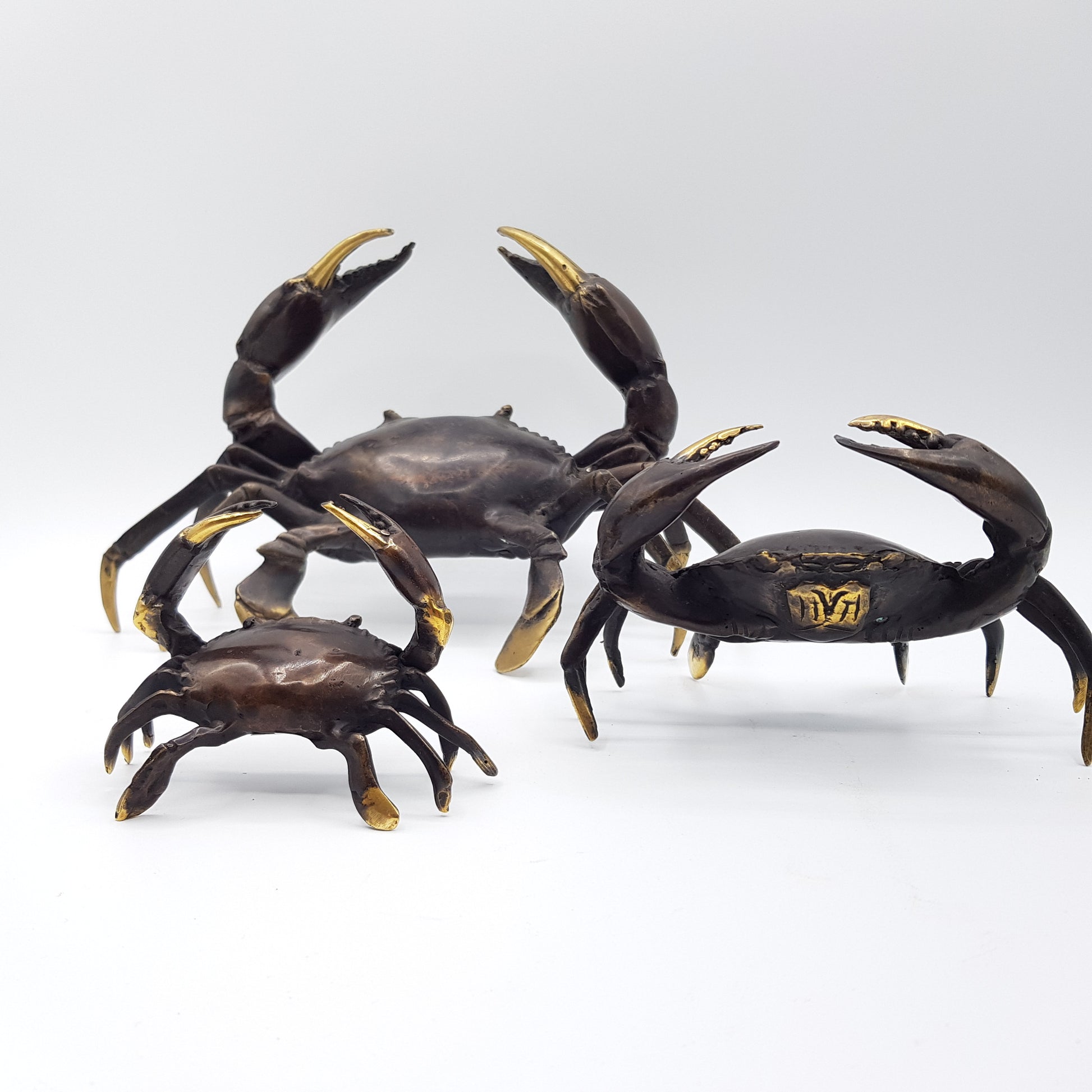 Family Crabs - Idee D'Arte Positano
